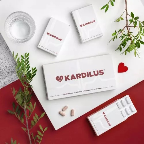 Kardilus